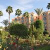 Marrakech (Morocco) - Image 7