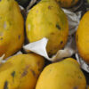 Brazil - Image 10