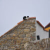 Slovenia - Image 13