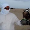 Dubai - Image 16