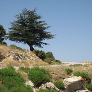 Qbayet (Lebanon)