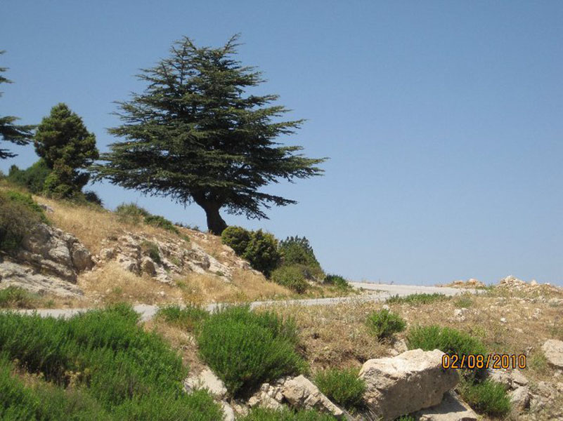 Qbayet (Lebanon)