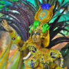 Carnaval Rio De Janeiro 1 - Image 15