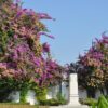Lisbon - Image 15
