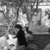 Maronite Cyprus - Image 20