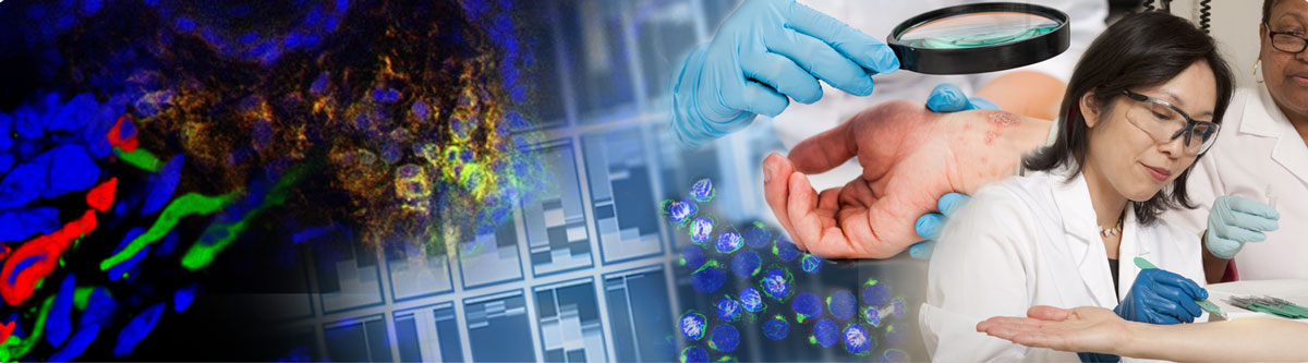 Dermatology science lebanon