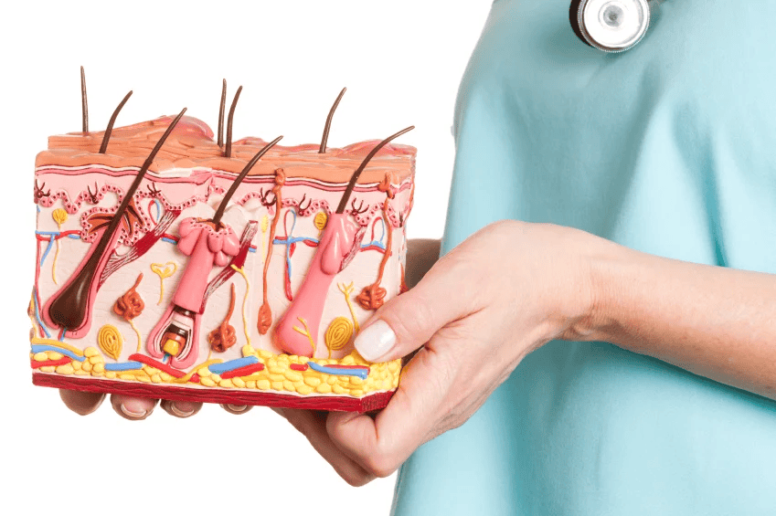 Academic Dermatology Lebanon