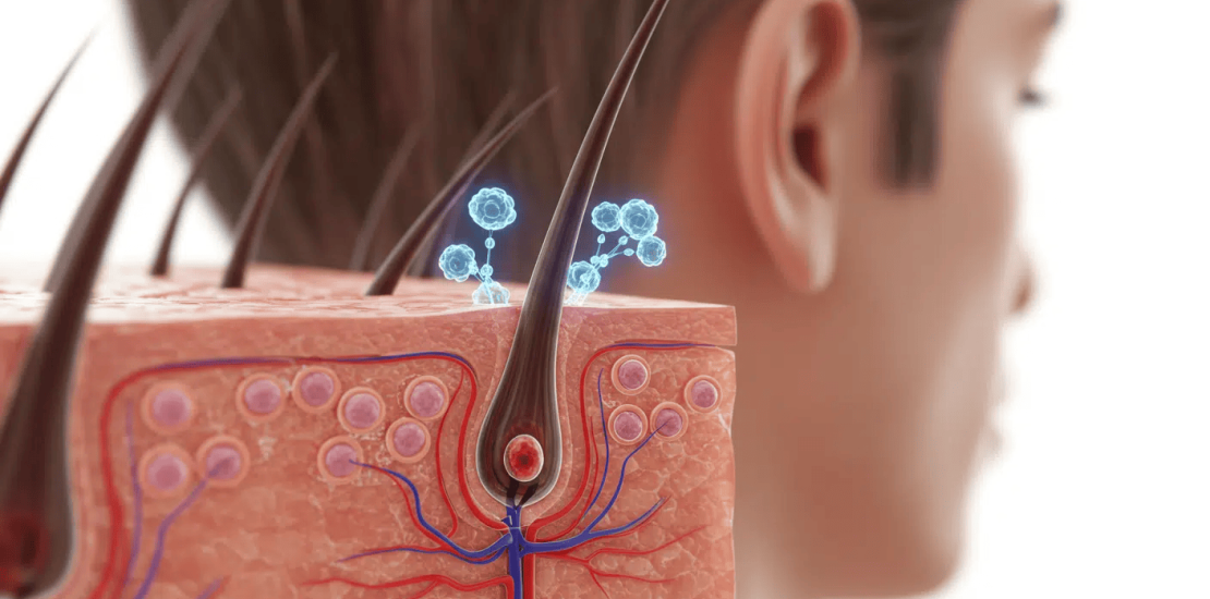 Regenerative medicine breakthroughs